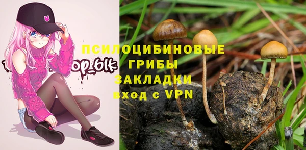 индика Алексеевка