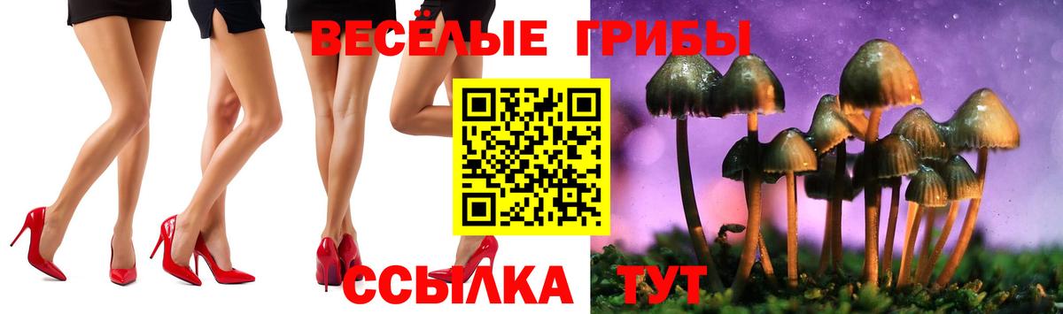 Псилоцибиновые грибы Cubensis  Псилоцибиновые грибы ЛСД  купить  сайты  Вход с VPN  Когалым 